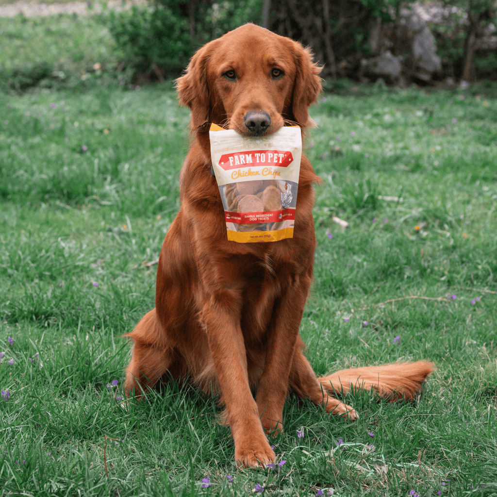 Single Ingredient dog chips